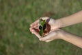 Kid's hand holding repuposed eggshell transformed into fertilizer pot. Gyre Royalty Free Stock Photo