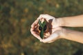 Kid's hand holding repuposed eggshell transformed into fertilizer pot. Gyre Royalty Free Stock Photo