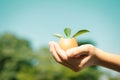 Kid's hand holding repuposed eggshell transformed into fertilizer pot. Gyre Royalty Free Stock Photo