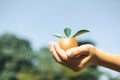 Kid's hand holding repuposed eggshell transformed into fertilizer pot. Gyre Royalty Free Stock Photo