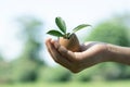 Kid's hand holding repuposed eggshell transformed into fertilizer pot. Gyre Royalty Free Stock Photo