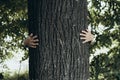 Child`s hands hugging tree Royalty Free Stock Photo