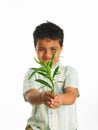 Kid with a sapling Royalty Free Stock Photo