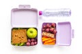Kid school lunch box set of sandwich with graip and apple Royalty Free Stock Photo