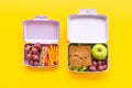 Kid school lunch box set of sandwich with graip and apple Royalty Free Stock Photo