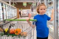 Kid with shopping cart at grocery store. Child buying fruit in supermarket. Little boy buy fresh vegetables in grocery Royalty Free Stock Photo
