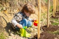 Kid with Shovel and watering can. Little helper in garden. Little Farmer boy examining Common fig crop in plantation or Royalty Free Stock Photo