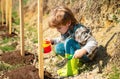 Kid with Shovel and watering can. Little helper in garden. Little Farmer boy examining Common fig crop in plantation or Royalty Free Stock Photo