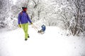 Kid on the sleigh. Royalty Free Stock Photo