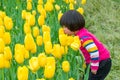 Kid smelling tulip sin Hangzhou