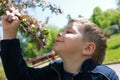 Kid sniffs apple tree flowers