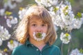 Kid in spring cherry blossom park. Happy childhood. Spring holidays. Adorable boy in spring garden. Cute little kid boy Royalty Free Stock Photo