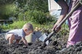 The kid squatted and picks potatoes from the field.