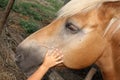 Kid Stroke Reassuring Horse Love Friends Royalty Free Stock Photo