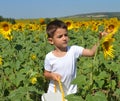 Kid and sunflowers Royalty Free Stock Photo