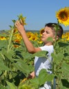 Kid and sunflowers Royalty Free Stock Photo