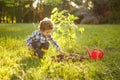 Kid taking care of tree in garden Royalty Free Stock Photo