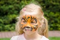 Kid with tiger face painting Royalty Free Stock Photo