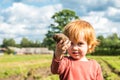 kid toddler picking digging potatoes