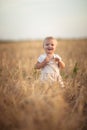 Kid toddler on wheat field at sunset, lifestyle
