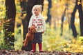 Kid with toy enjoy fresh air outdoor. Little girl in autumn forest. Child with teddy bear in fairy tale woods. Childhood