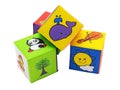 Kid toys. Colored cubes with animals, plants and objects.