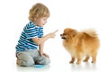 Kid training Spitz dog. Isolated on white background. Royalty Free Stock Photo