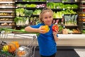 Kid with vegetables and peppers at grocery store. Kid choosing fruits and vegetables during shopping at vegetable Royalty Free Stock Photo