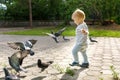 Little boy catches pigeons flying away from him, plays on a walk on a summer day in a green park