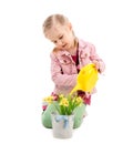 Kid watering flowers, isolated on white background Royalty Free Stock Photo