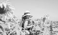 kid wear straw summer hat. child in field of yellow flowers. teen girl in sunflower field. concept of summer vacation Royalty Free Stock Photo