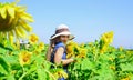 Kid wear straw summer hat. child in field of yellow flowers. teen girl in sunflower field. concept of summer vacation Royalty Free Stock Photo