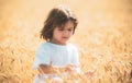 Kid at wheat field with harvest grain. Wheat is a cereal plant. Kid portrait on farmland. Happy little farmer having fun