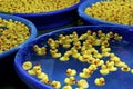 Kiddie Pools full of Rubber Ducks