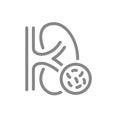 Kidney with bacteria line icon. Disease internal organ, pyelonephritis, bacterial urinary tract infections symbol