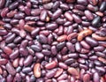 Kidney bean seeds Royalty Free Stock Photo