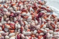 Kidney bean texture background. A large, kidney-shaped bean with a subtle sweet flavor and soft texture. A large number of beans