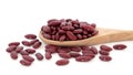 Kidney Beans