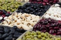 Kidney beans background, assortment haricot - red, black, white, mung in square cells macro. Royalty Free Stock Photo