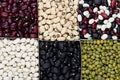 Kidney beans background, different kind haricot - red, black, white, mung in square cells closeup top view. Royalty Free Stock Photo