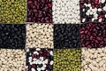 Kidney beans background, different kind haricot - red, black, white, mung in square cells closeup top view. Royalty Free Stock Photo