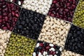 Kidney beans background, different kind haricot - red, black, white, mung in square cells closeup top view. Royalty Free Stock Photo