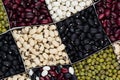 Kidney beans background, different kind haricot - red, black, white, mung in square cells closeup top view. Royalty Free Stock Photo