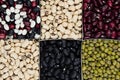 Kidney beans background, different kind haricot - red, black, white, mung in square cells closeup top view. Royalty Free Stock Photo