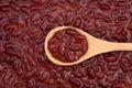 Kidney Beans in Chili Sauce Royalty Free Stock Photo