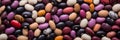 Kidney beans heap. Mixed colorful background, banner, texture. Top view of kidney beans Royalty Free Stock Photo