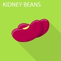 Kidney beans icon, flat style