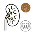 Kidney beans icon with stones disease inside. Kidneys logo.