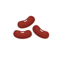 Kidney beans legume red brown seed. Kidney bean plant vegetable silhouette flat illustration