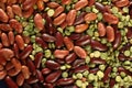 Kidney beans and pea texture Royalty Free Stock Photo